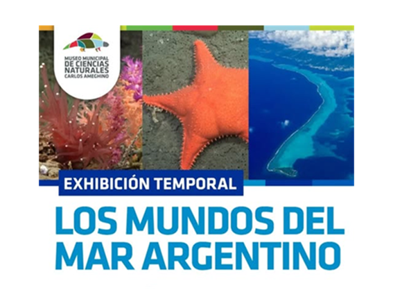 Lee más sobre el artículo LOS MUNDOS DEL MAR ARGENTINO